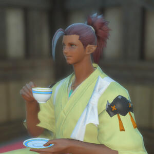 Saixert Host\Server